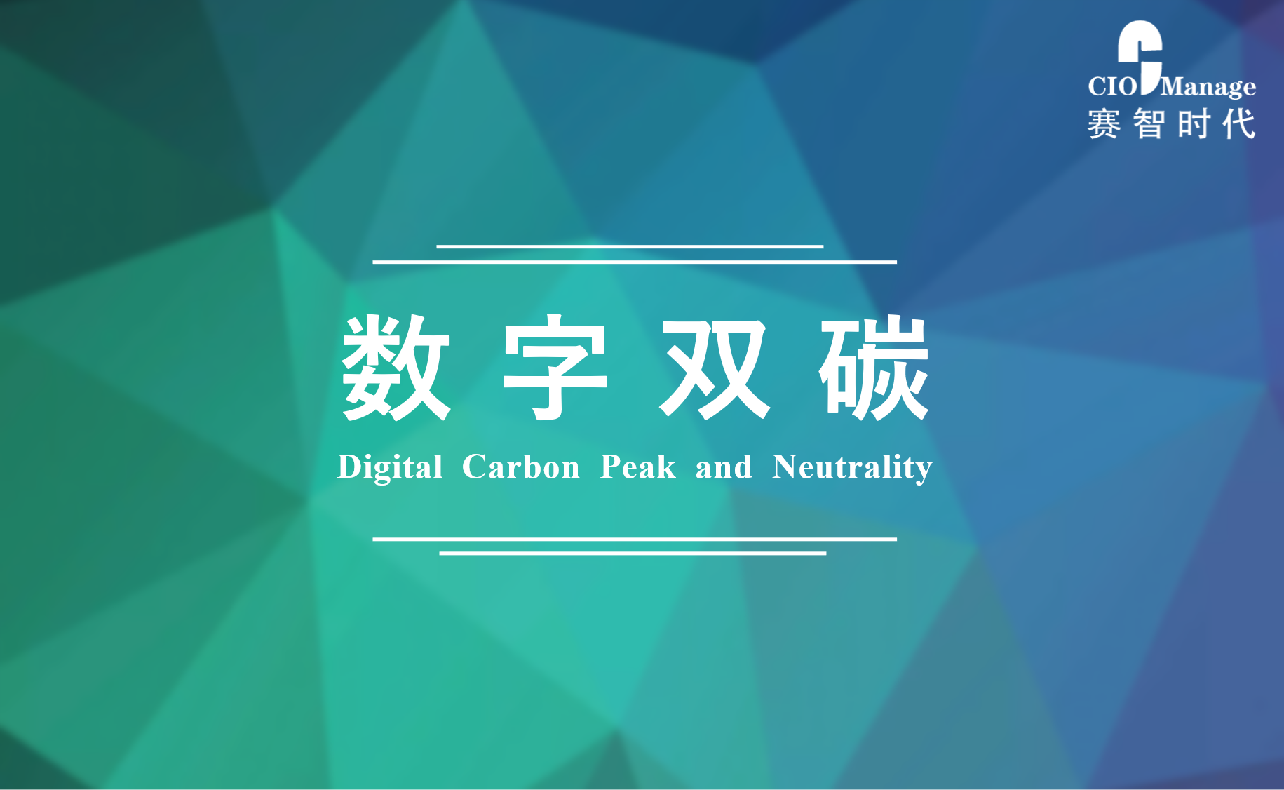 赛智时代：中国数字双碳发展路径研究