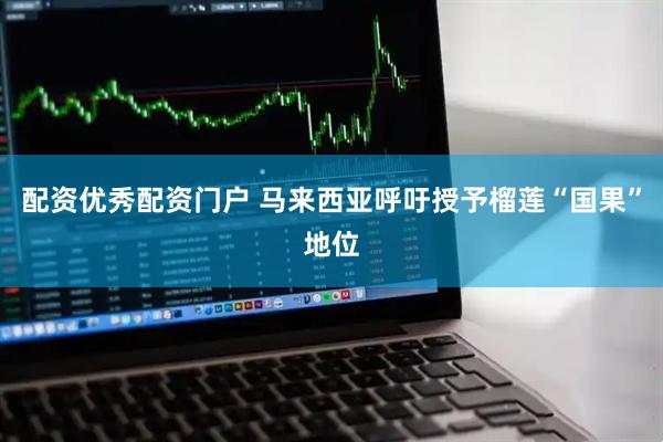 配资优秀配资门户 马来西亚呼吁授予榴莲“国果”地位