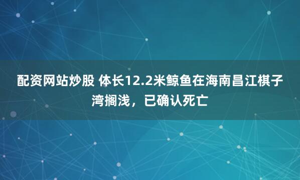 配资网站炒股 体长12.2米鲸鱼在海南昌江棋子湾搁浅，已确认死亡
