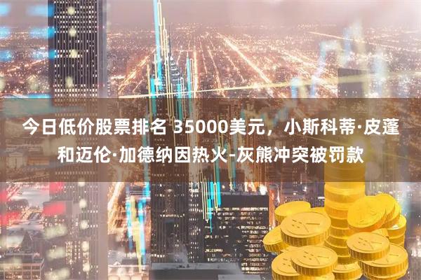 今日低价股票排名 35000美元，小斯科蒂·皮蓬和迈伦·加德纳因热火-灰熊冲突被罚款