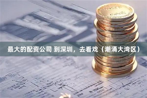 最大的配资公司 到深圳，去看戏（潮涌大湾区）