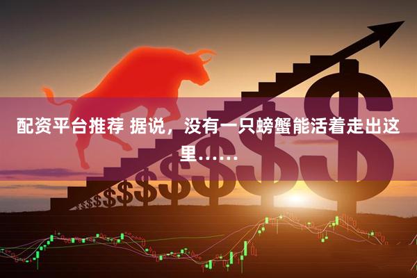 配资平台推荐 据说，没有一只螃蟹能活着走出这里……
